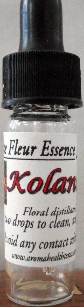 Kalanchoe,Blossfeldiana, Flower Essence